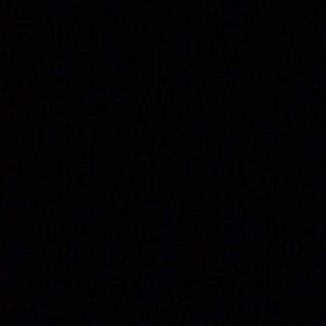 Meet your Posher, Ginger